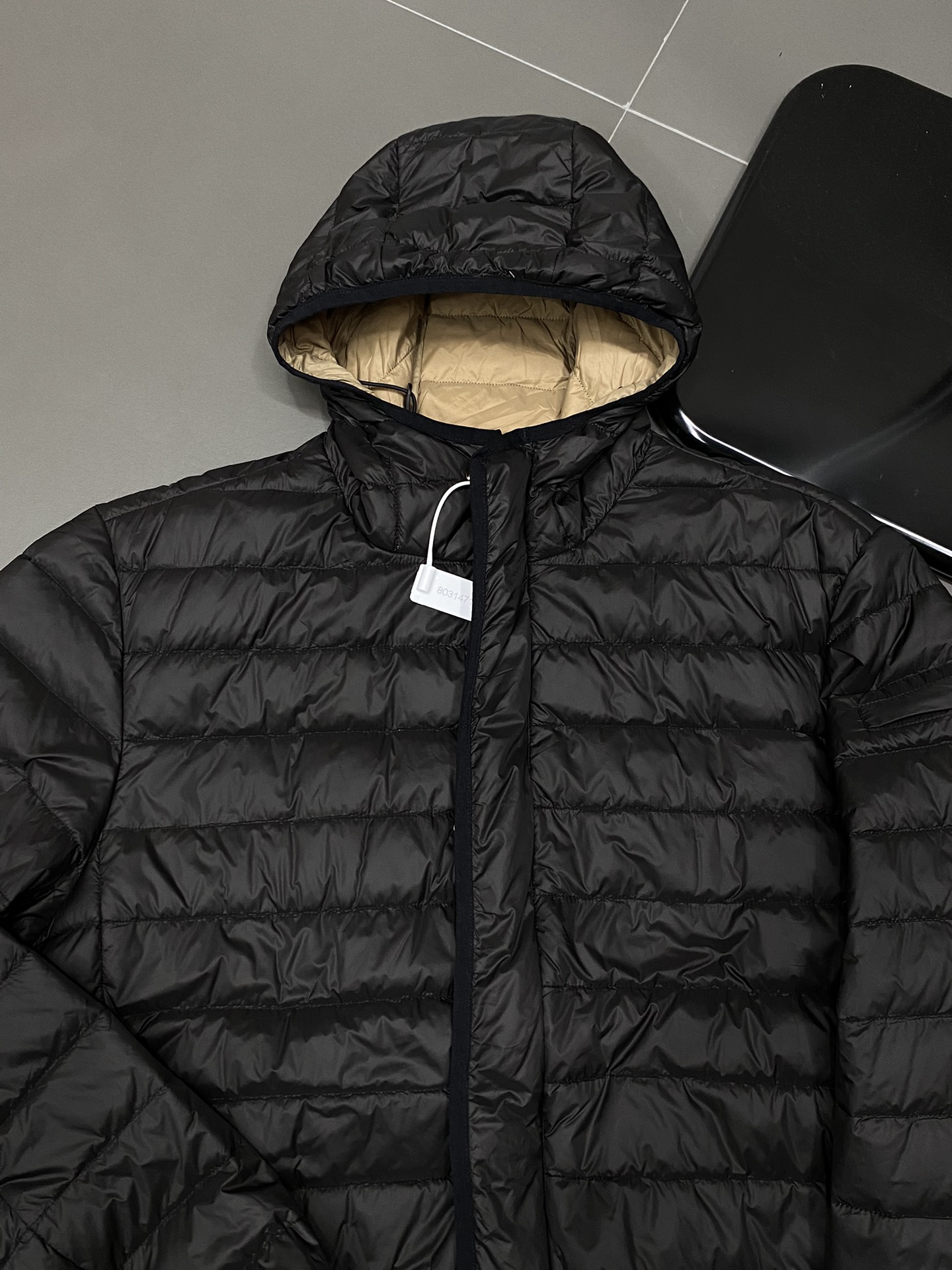 Zegna Down Jackets